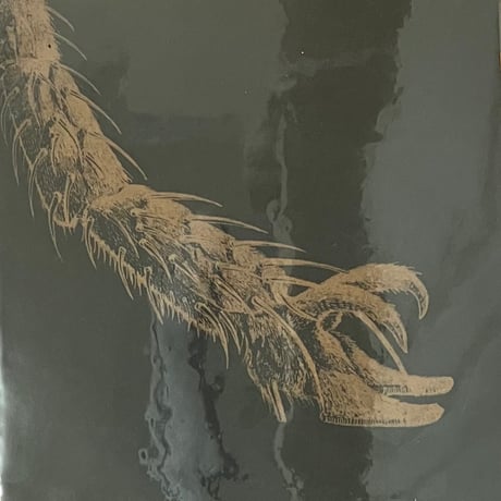 Univers Zero - Ceux Du Dehors [LP+7][Recommended Records] (USED)