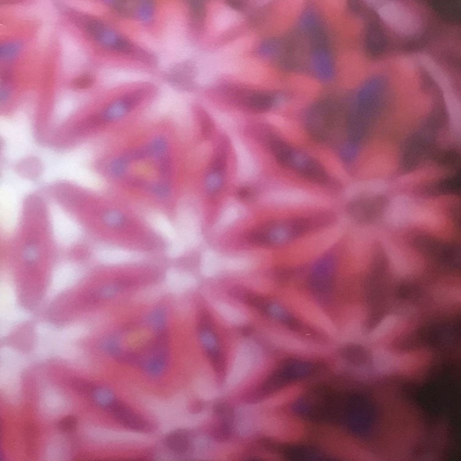 5ec332bfcee9ea0782d2e495