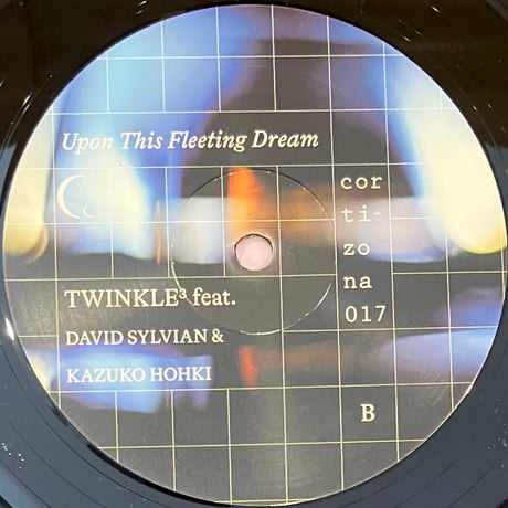Twinkle Feat. David Sylvian & Kazuko Hohki - Upon This Fleeting Dream [LP] (USED)