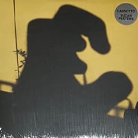 Suzan Peeters - Cassotto [LP][blickwinkel] (USED)