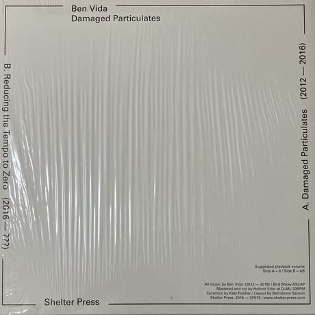 Ben Vida - Damaged Particulates [LP][Shelter Press] (USED)