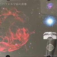 きどりっこ - 流行通信簿 [LP][Captain Records] | FunTricks