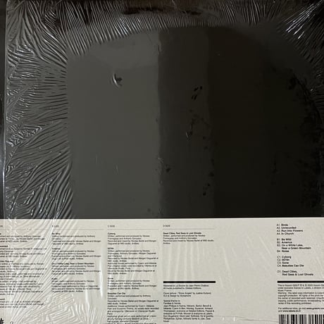 M83 - Dead Cities, Red Seas & Lost Ghosts [2LP][Gooom] (USED)