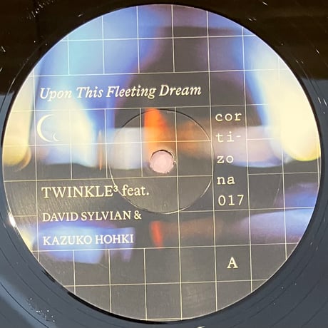 Twinkle Feat. David Sylvian & Kazuko Hohki - Upon This Fleeting Dream [LP] (USED)