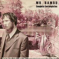 Mr. Bambu - Complete Contemplation [LP][Organik Recordings] (USED)