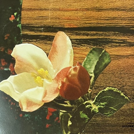Nova Scotian Arms / Motion Sickness Of Time Travel - Crystal Anniversary [LP][Aguirre Records]