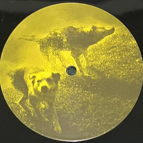 Meltable Snaps It - Points Blank [LP][No Man's Land] (USED)