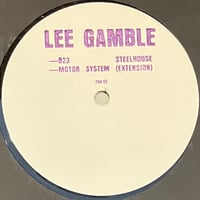 Lee Gamble - B23 Steelhouse [12][PAN] (USED)
