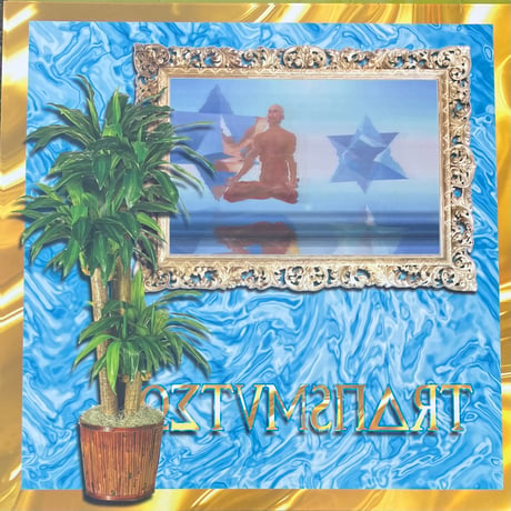 Transmuteo - Transmuteo [LP][Aguirre Records] (USED)