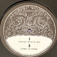 Terrafonix / Cessman - Baileys In A Mug / Jah Sunshine [12][Dubliminal Records] (USED)