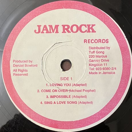 Michael Prophet - Loving You [LP][Jam Rock] (USED)