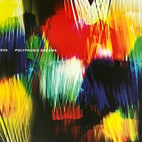 DVA - Madness / Polyphonic Dreams [12][Hyperdub] (USED)