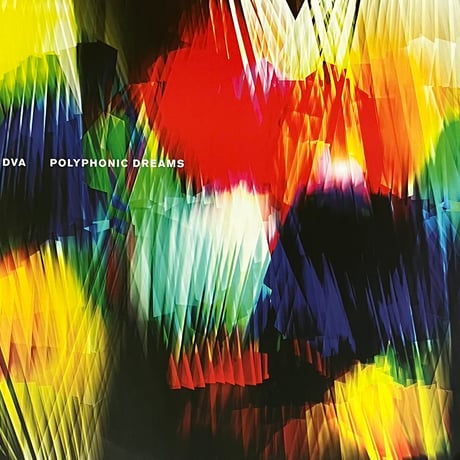 DVA - Madness / Polyphonic Dreams [12][Hyperdub] (USED)