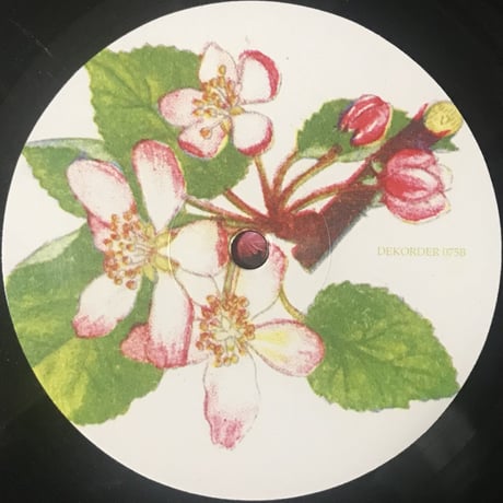 Kemialliset Ystavat - Alas Rattoisaa Virtaa [LP][Dekorder][USED]