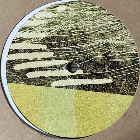 Parris - Terrapin EP [12][Wisdom Teeth] (USED)