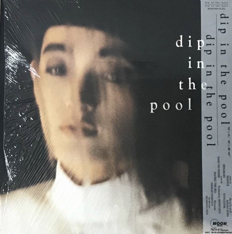 dip in the pool - Dip In The Pool [12][Moon Rec