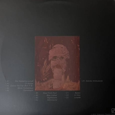 Ian Drennan - The Wonderful World [2LP][Underwater Peoples Records] (USED)