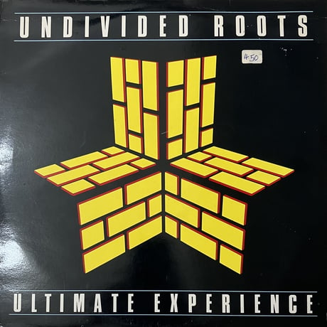 Undivided Roots - Ultimate Experience [LP][Entente] (USED)