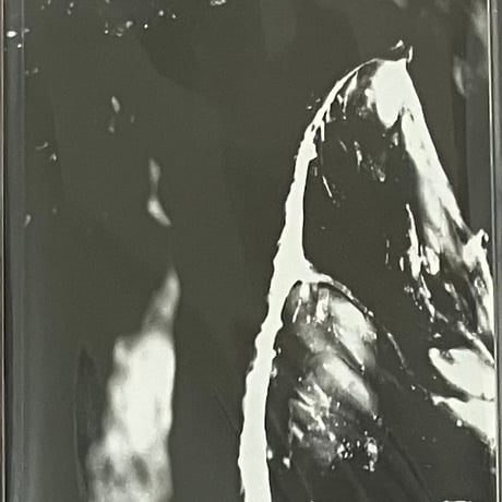 Leecher - Retfa [Cassette][Oxen] (USED)