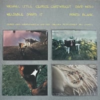 Meltable Snaps It - Points Blank [LP][No Man's Land] (USED)
