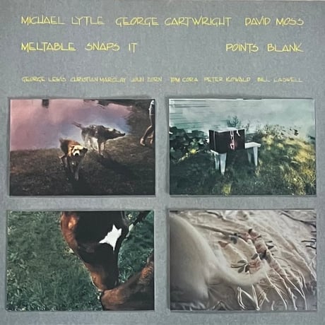 Meltable Snaps It - Points Blank [LP][No Man's Land] (USED)