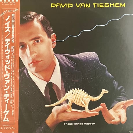 David Van Tieghem - These Things Happen [LP][Warner Bros. Records] (USED)