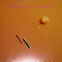 Spank Rock Feat. Big Freedia - Nasty Remixes [12][Boysnoize Records] (USED)
