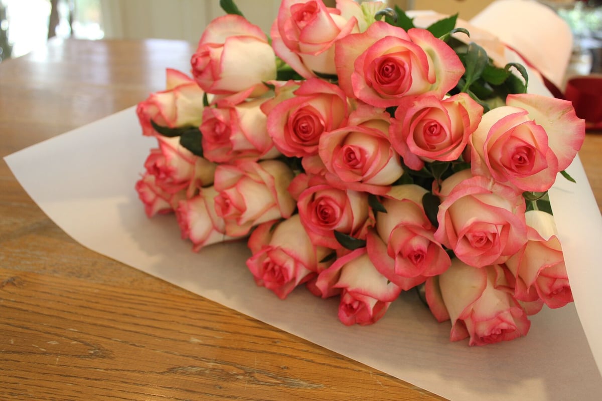 【中古】Photobit 20 薔薇 PC周辺機器 【】Photobit 20 薔薇