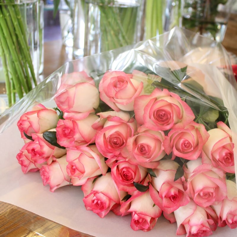 PC周辺機器 【】Photobit 20 薔薇