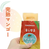 友桝飲料　果実アイス　マンゴー　80ｇ