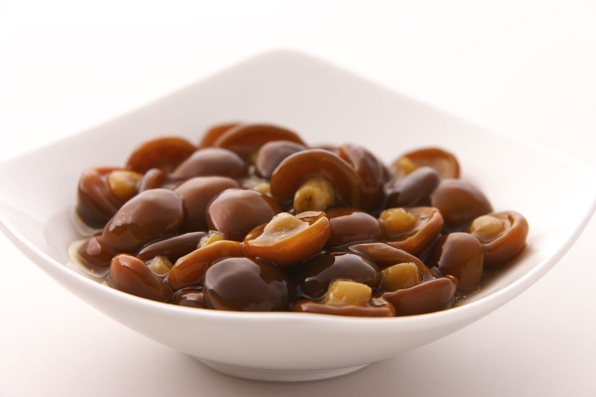 なめこさま専用！ 楽天市場】おさわり探偵 なめこ栽培キット なめピタ2 吸盤付