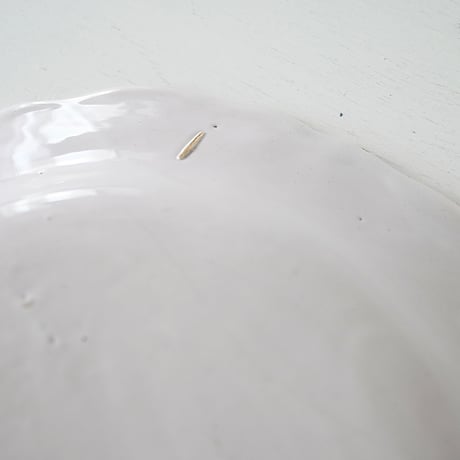 白釉 花リム大皿(L)  Φ32cm ※ダメージあり