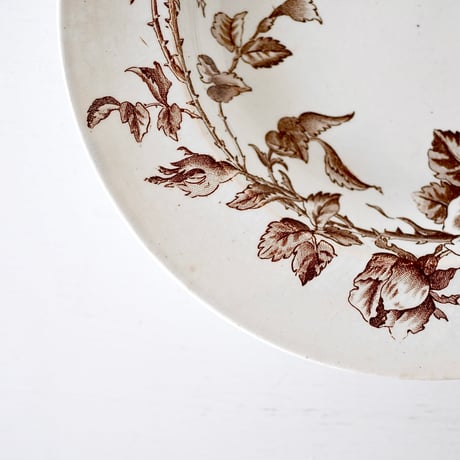 Creil et Montereau 茶色いトランスファー柄ROSE深皿(F)