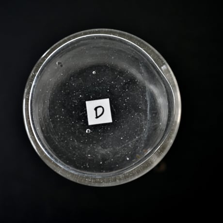 Pot à Servan Raisin - 葡萄の接ぎ木用ポット(D)