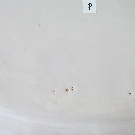 白釉 オーヴァル大皿(P) w41cm