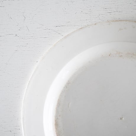 Faïence fine GIEN 青いリーフ模様 平皿 Φ23.5cm
