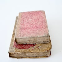 朽ち枯れたピンクカバーの中&小サイズの古書2pセット