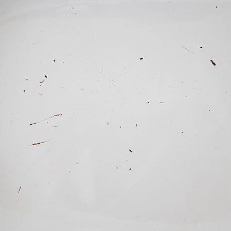 白釉 オーヴァル大皿(H) w39cm