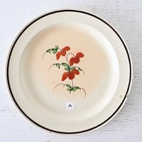 Faïence fine FORGE-LES-EAUX 丸平皿