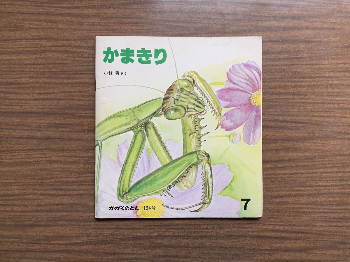 かまきり | コトウ