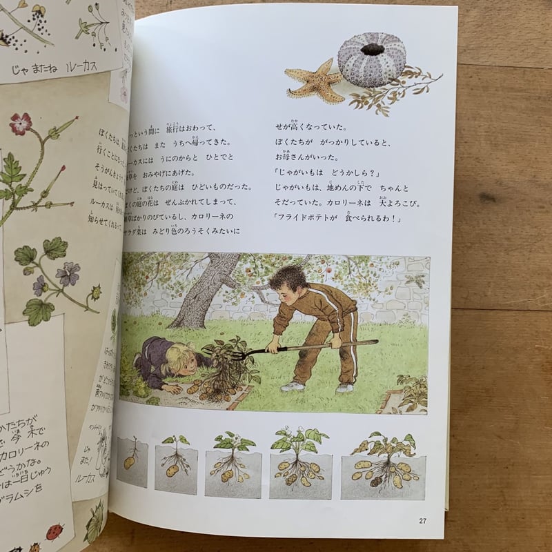 ぼくの庭ができたよ | コトウ