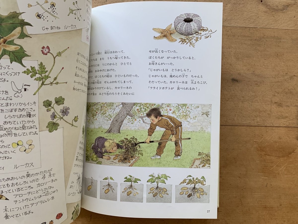 ぼくの庭ができたよ | コトウ