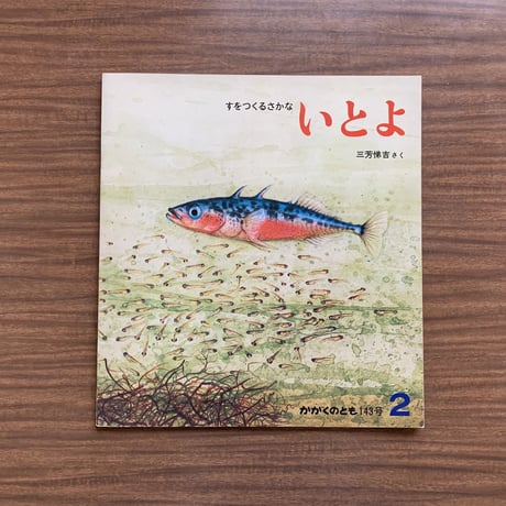 いとよ　すをつくるさかな