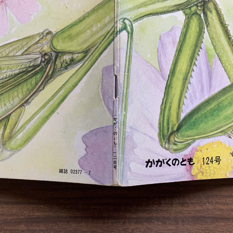 かまきり バンダイ いきもの大図鑑 かまきり03 レア込み全6種フルセット