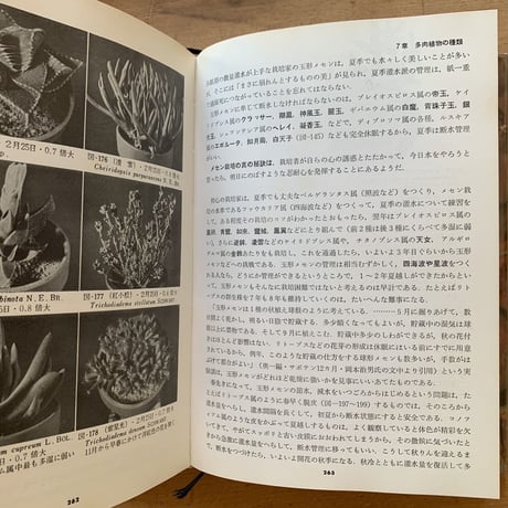 多肉植物　マニアのための栽培専科