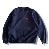 Throw-up Sweat by stussy