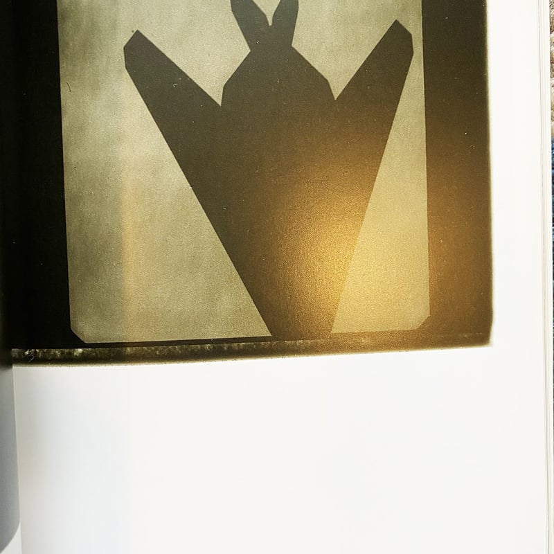Annie Leibovitz 1995 | instantbootleg store
