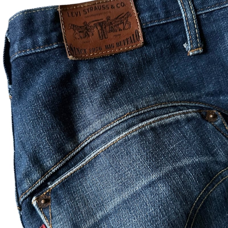 世界6000枚限定！！00年 ファビアン バロン Levi's 額付 ポスター 0657 BIG BUFFALO JEANS by Levi's | instantbootl