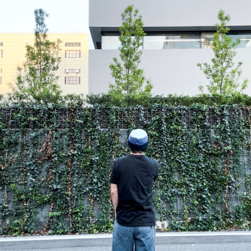 パタゴニア rhythm W32 日焼けアリ リズム グリーン ヘンプ