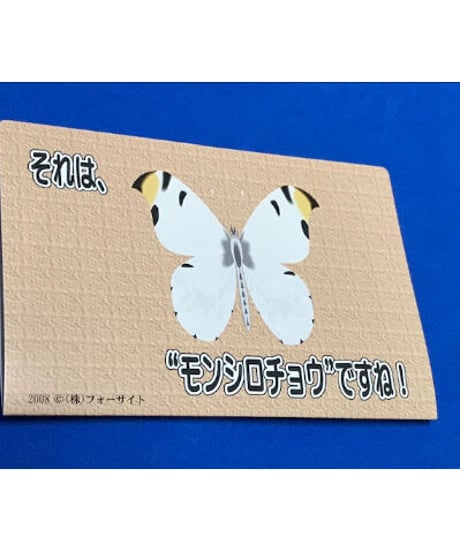 ラスト・インセクト　　＊800